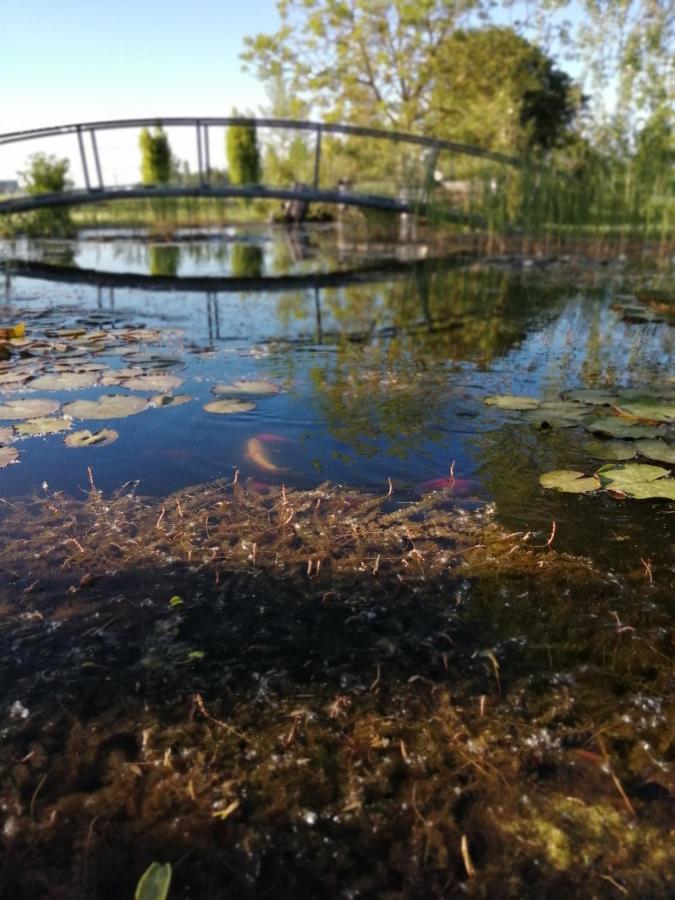 Oasi Bianca Otel Pomposa Dış mekan fotoğraf